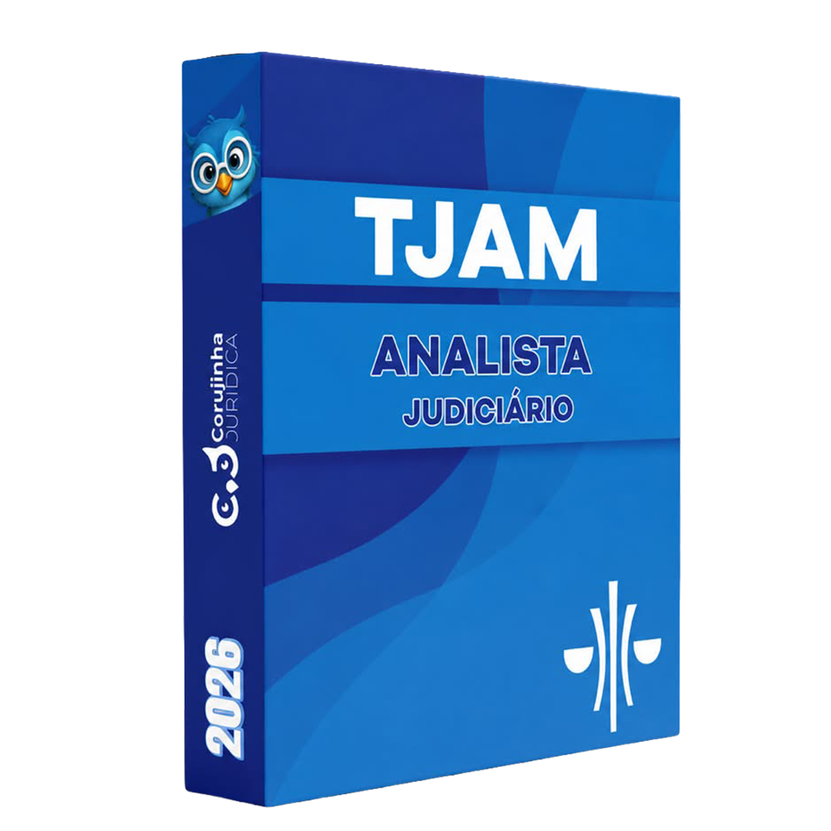 capa_resumo_TJAM_