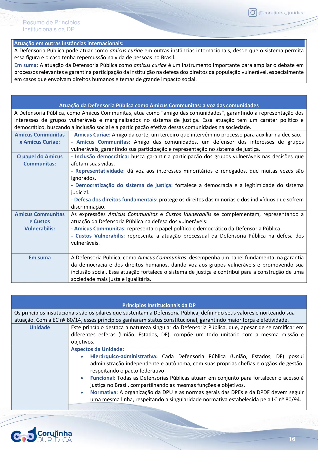 Página do Resumo Tabelado de Princípios Institucionais da DP comparando amicus communitas e amicus curiae e trazendo o princípio da unidade em seus aspectos