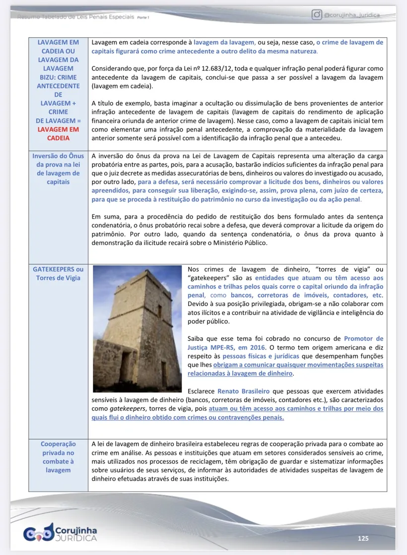 Página real do Resumo Tabelado de Leis Penais Especiais: lavagem de capitais