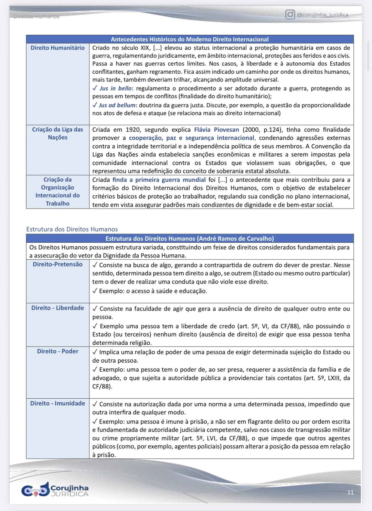 Página do Resumo Tabelado de Direitos Humanos com os antecedentes históricos do direito internacional e a estrutura dos direitos humanos
